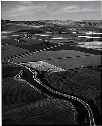 Eastern Washington Fields